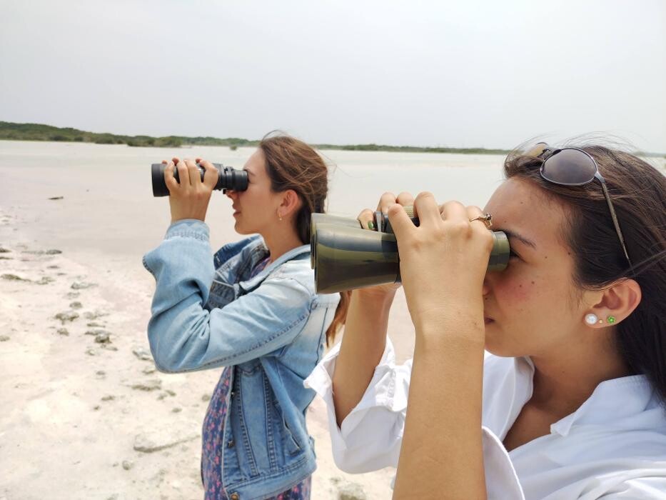 Images Tours en Progreso Yucatán México
