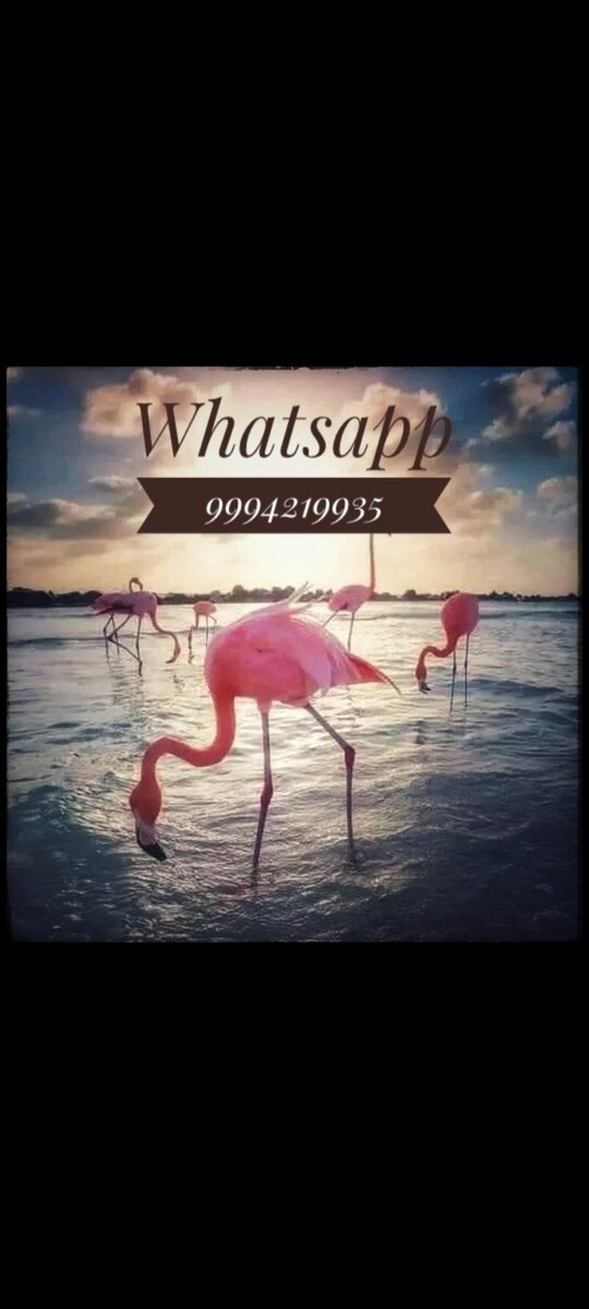 Images Tours en Progreso Yucatán México