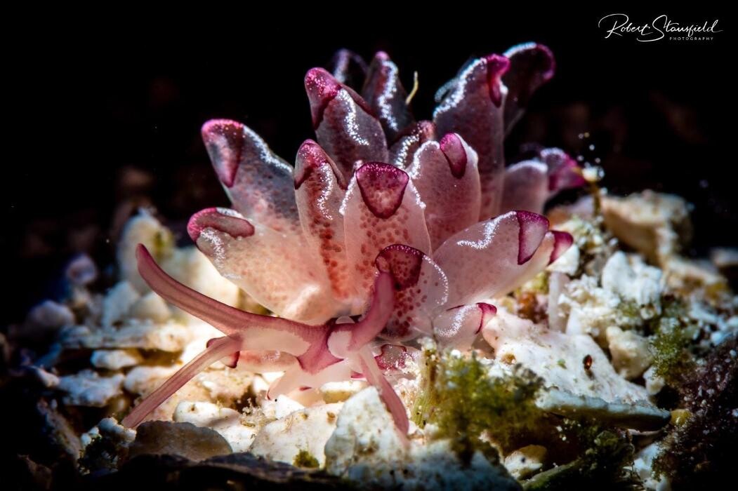 Images Salty Endeavors