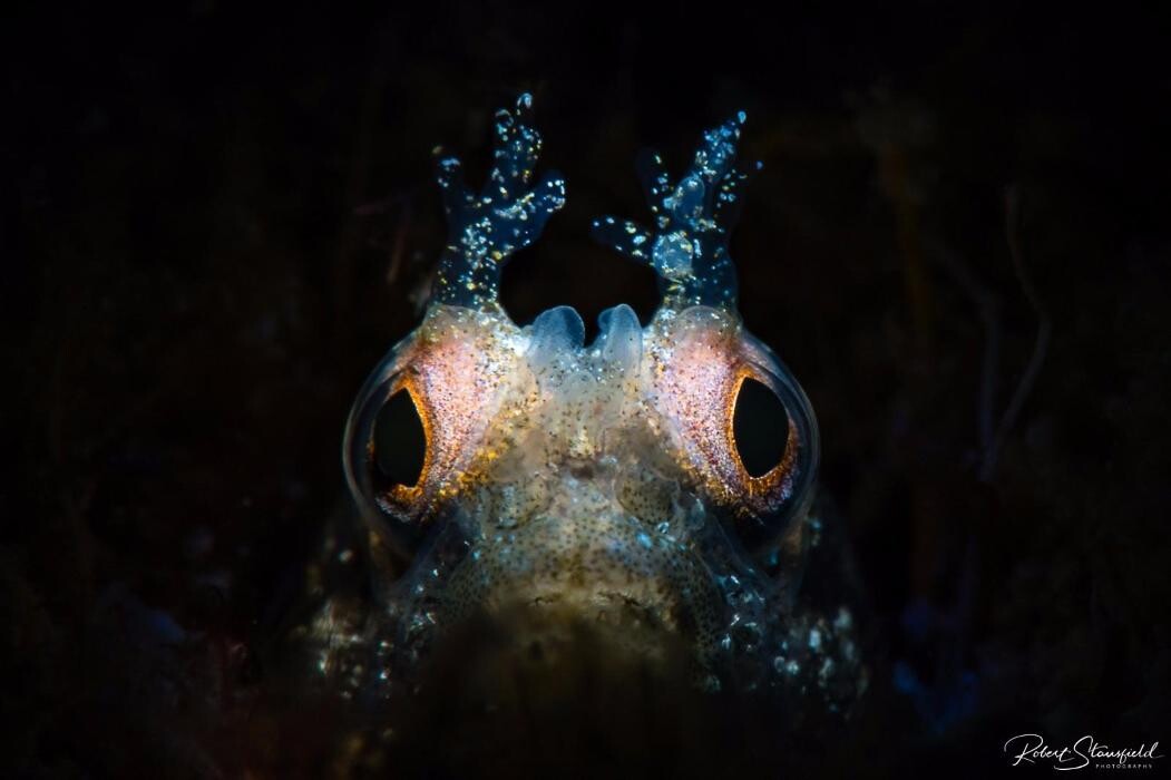 Images Salty Endeavors