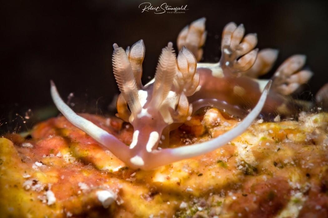 Images Salty Endeavors