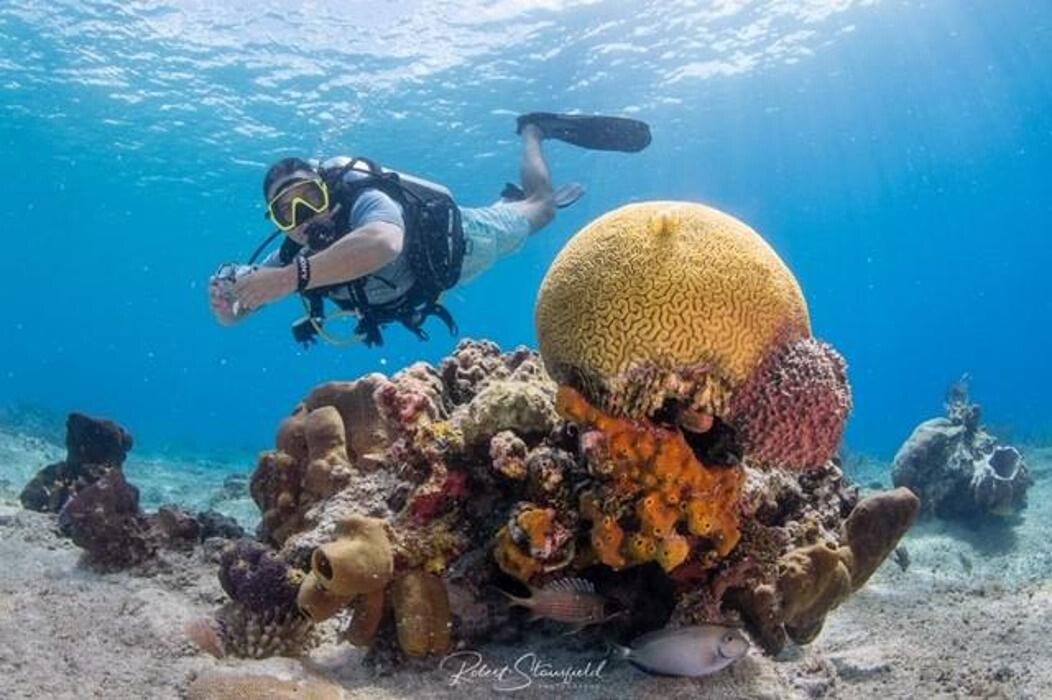 Images Salty Endeavors