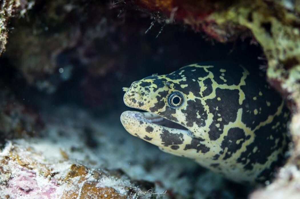 Images Salty Endeavors