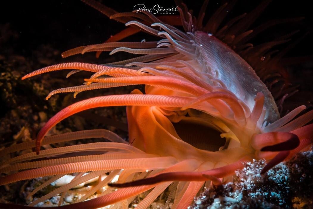 Images Salty Endeavors