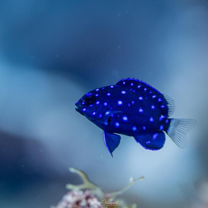 Images Salty Endeavors