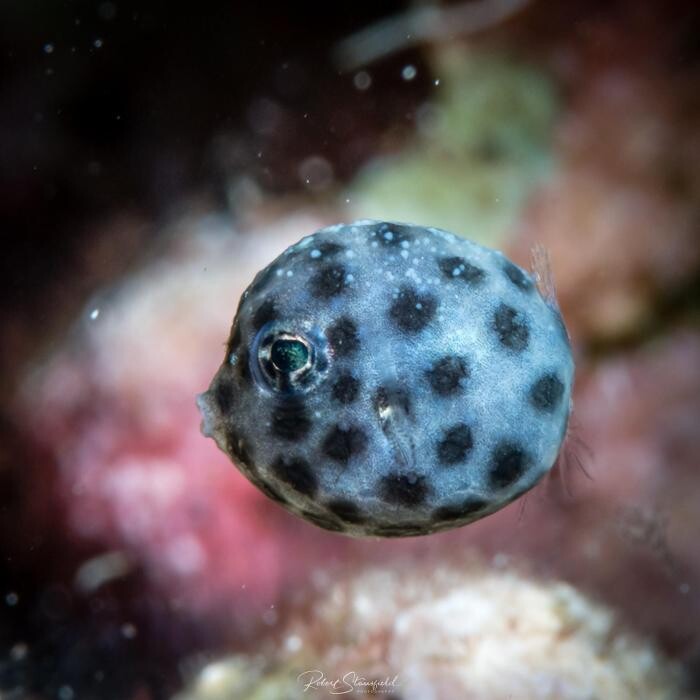 Images Salty Endeavors