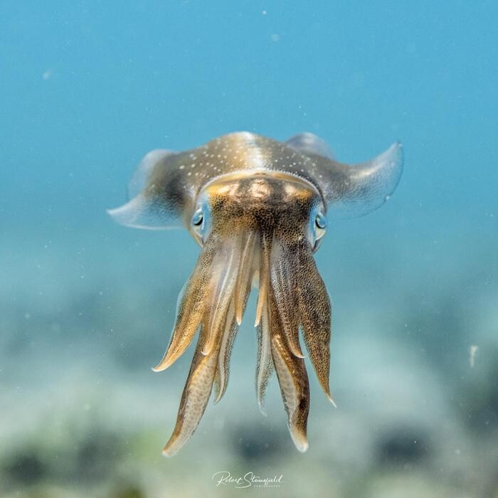 Images Salty Endeavors