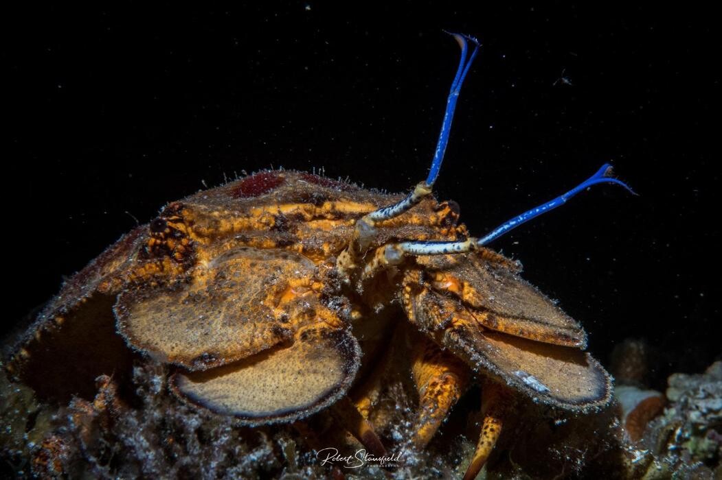 Images Salty Endeavors