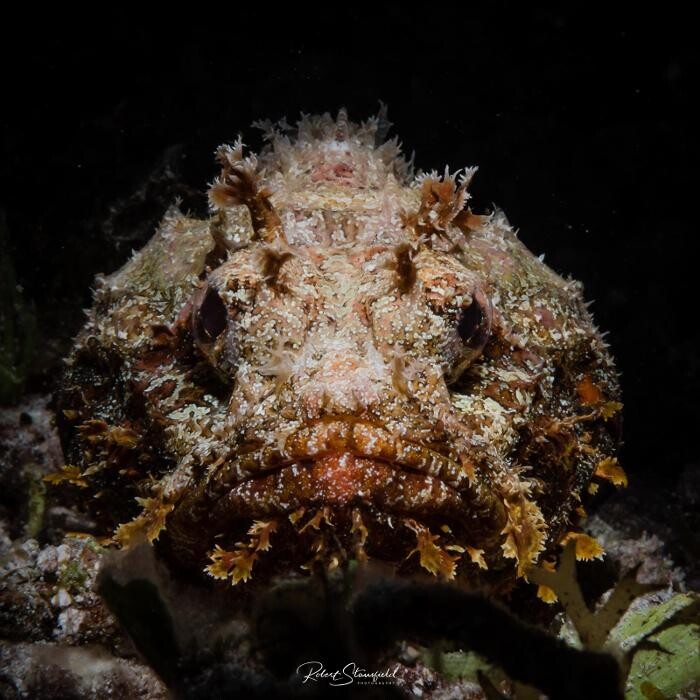 Images Salty Endeavors