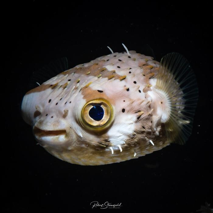 Images Salty Endeavors