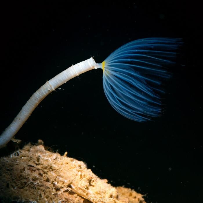 Images Salty Endeavors