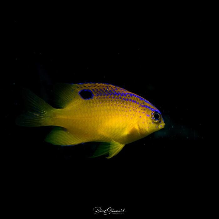 Images Salty Endeavors