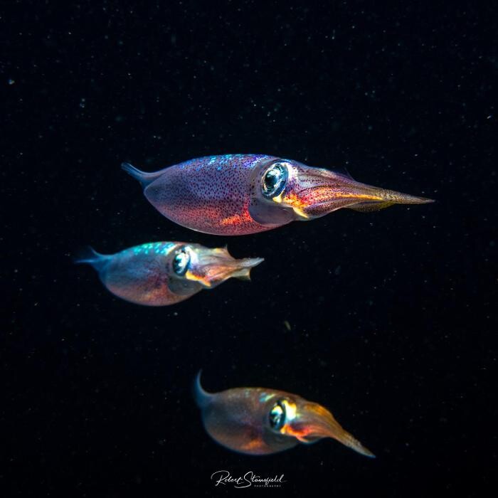 Images Salty Endeavors