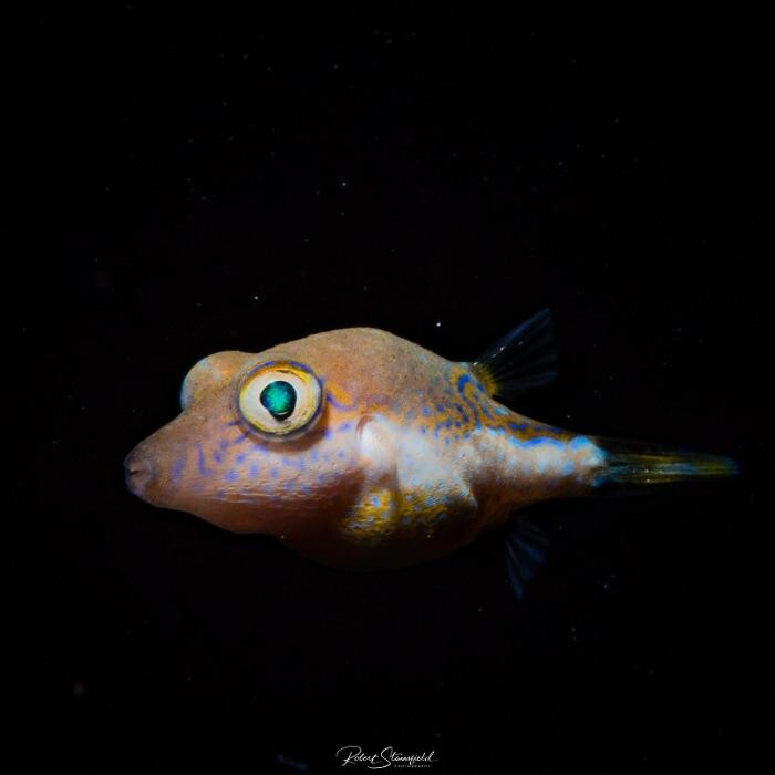 Images Salty Endeavors