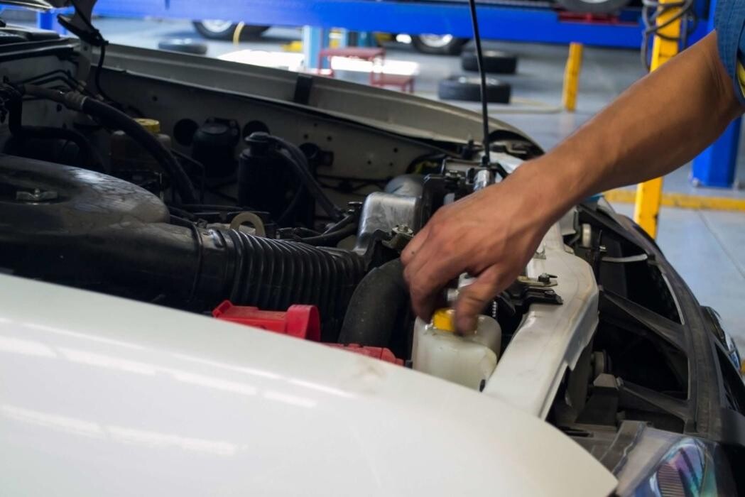 Images Eurollantas Sucursal Glorieta