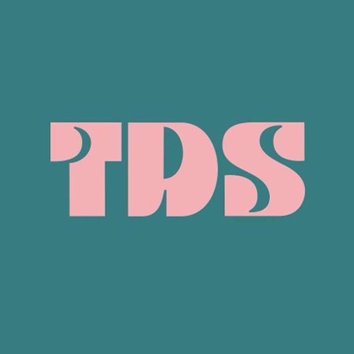 The Dress Stop - Renta de Vestidos Satélite Logo