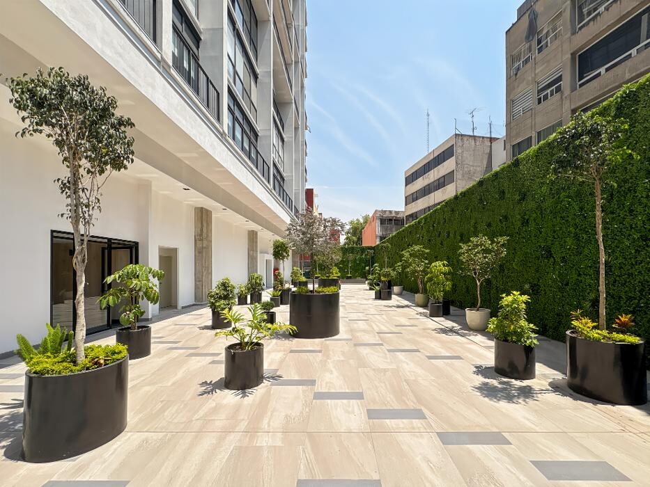 Images Spaces SkyTown Insurgentes