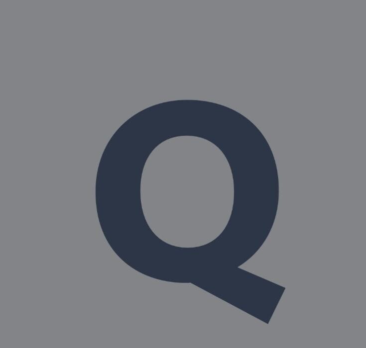 Quality Tire de México S.A de C.V. Logo
