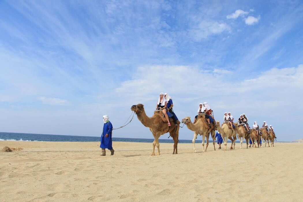 Images Garza Blanca Resort & Spa Los Cabos