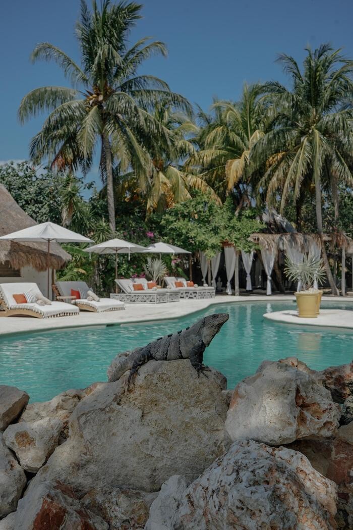 Images Ser Casasandra Boutique Hotel