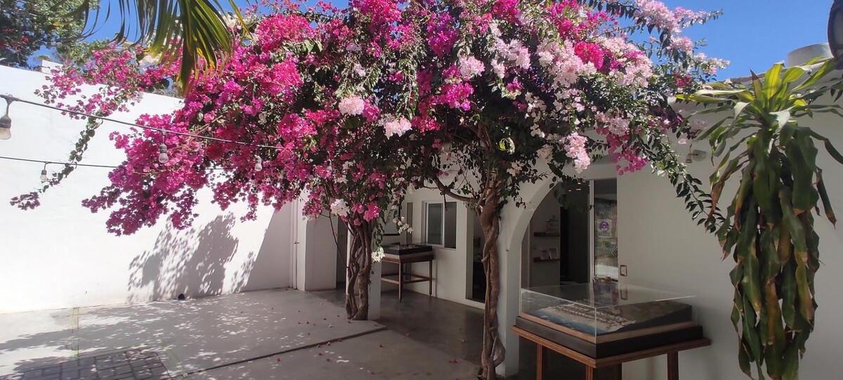 Images Baja Smart Real Estate Los Cabos