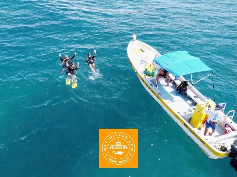 Images Mexidivers