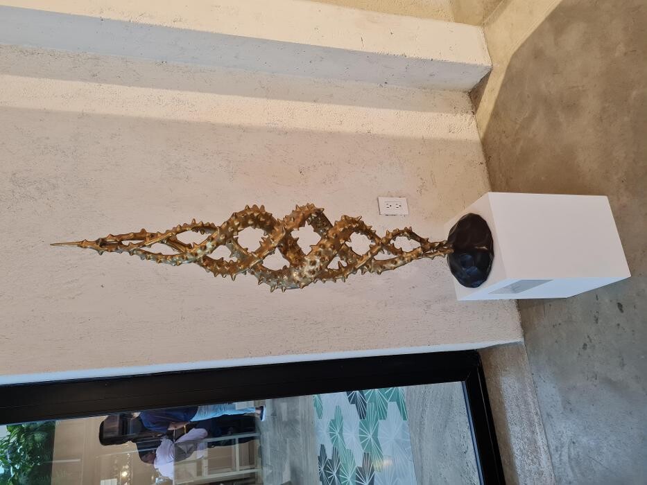 Images Baja Smart Real Estate Todos Santos