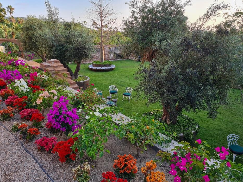 Images Baja Smart Real Estate Todos Santos