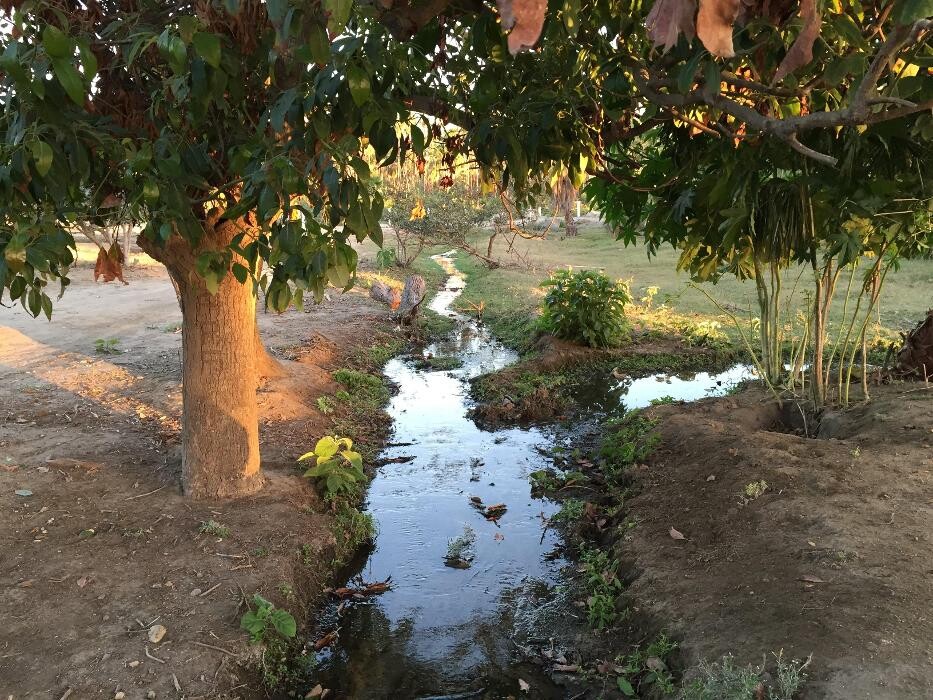 Images Baja Smart Real Estate Todos Santos