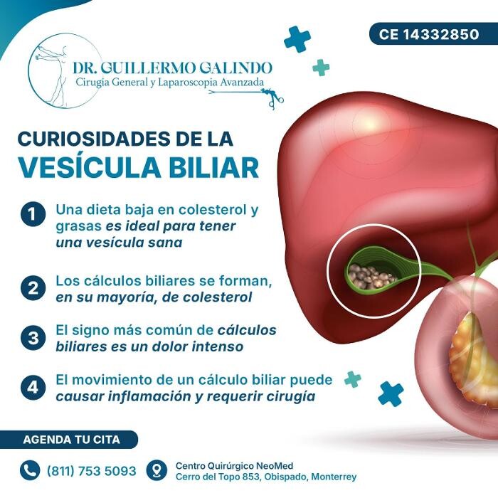 Images Dr. Guillermo Diego Galindo Sotelo - Cirugía General y laparoscópica en San Pedro Garza García