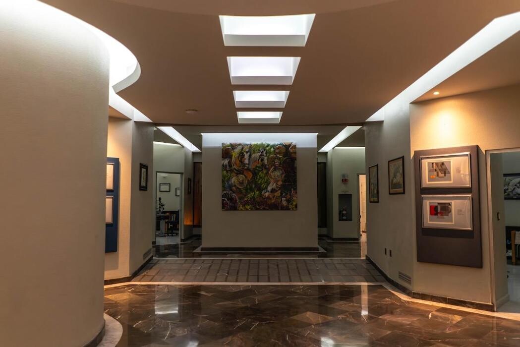 Images Fundación Castañón