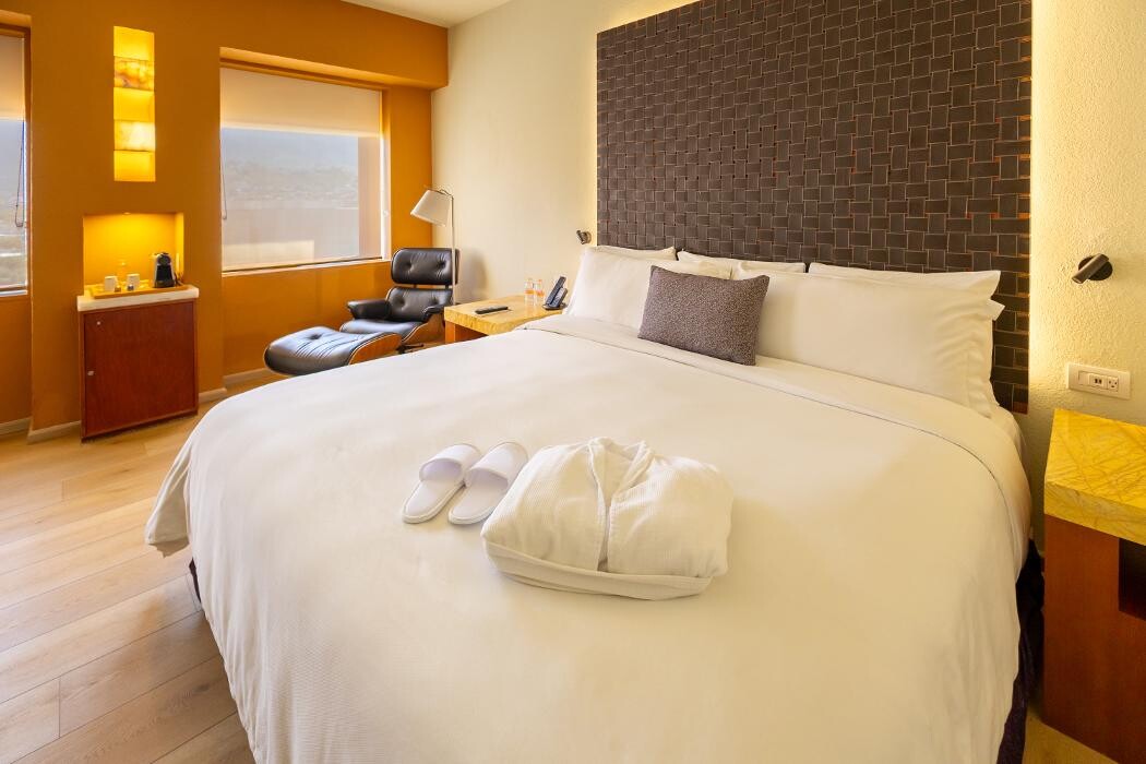 Images Barceló Monterrey Valle