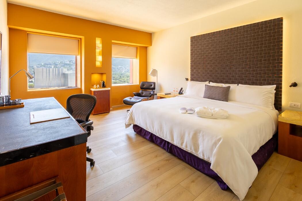 Images Barceló Monterrey Valle