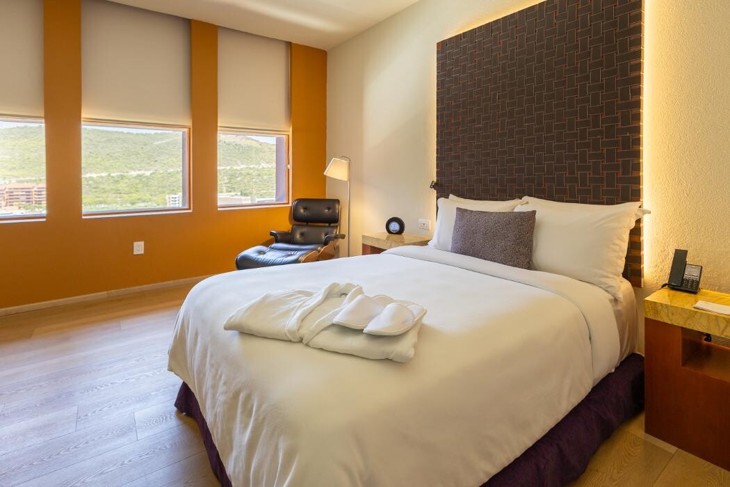 Images Barceló Monterrey Valle