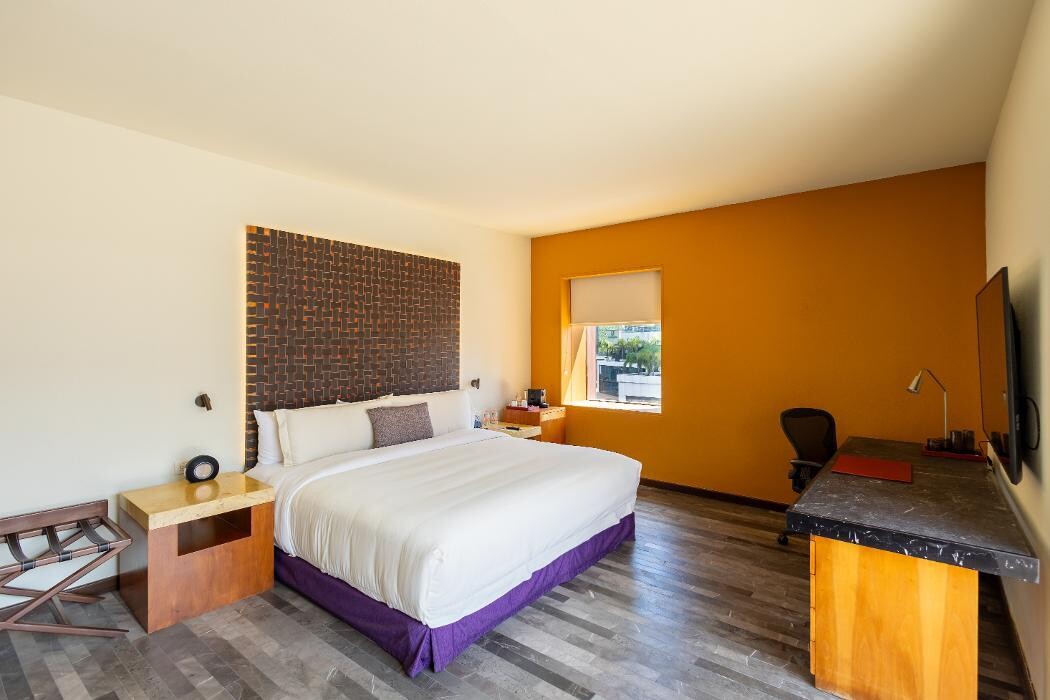 Images Barceló Monterrey Valle