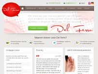 Screenshot for www.delferro.nl