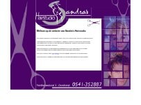 Website Screenshot Sandra's Hairstudio