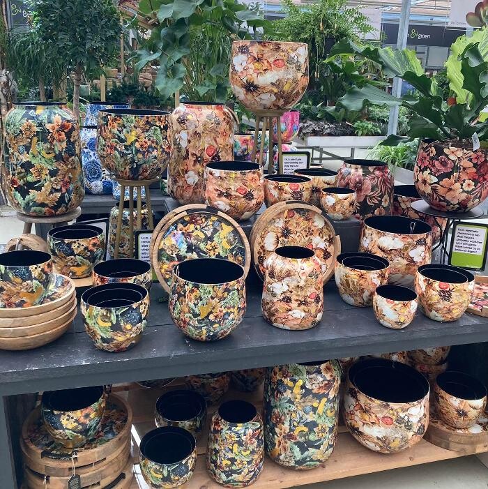 Foto's Life and Garden Renesse
