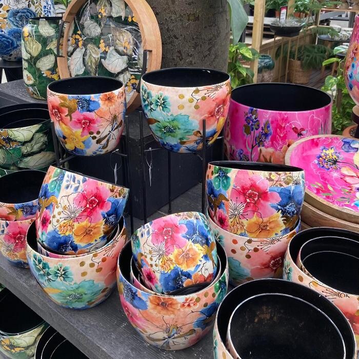 Foto's Life and Garden Renesse