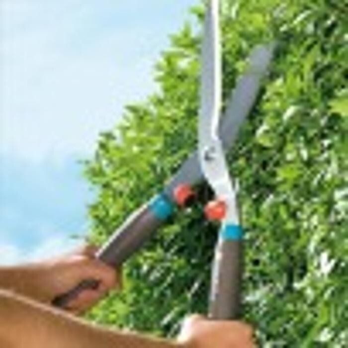 Foto's Life and Garden Renesse