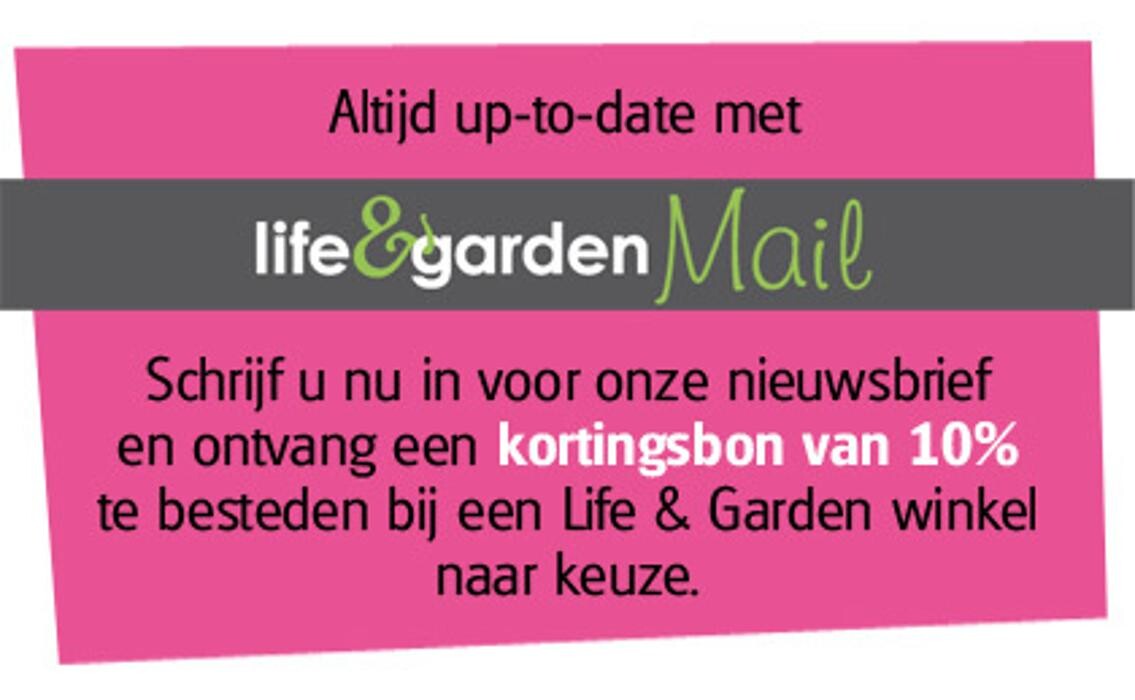 Foto's Life and Garden Renesse