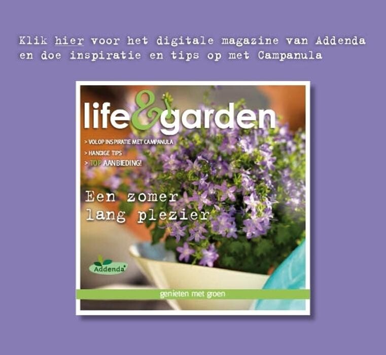 Foto's Life and Garden Renesse