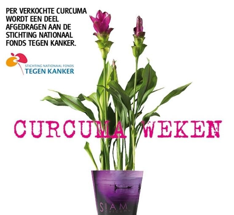 Foto's Life and Garden Renesse