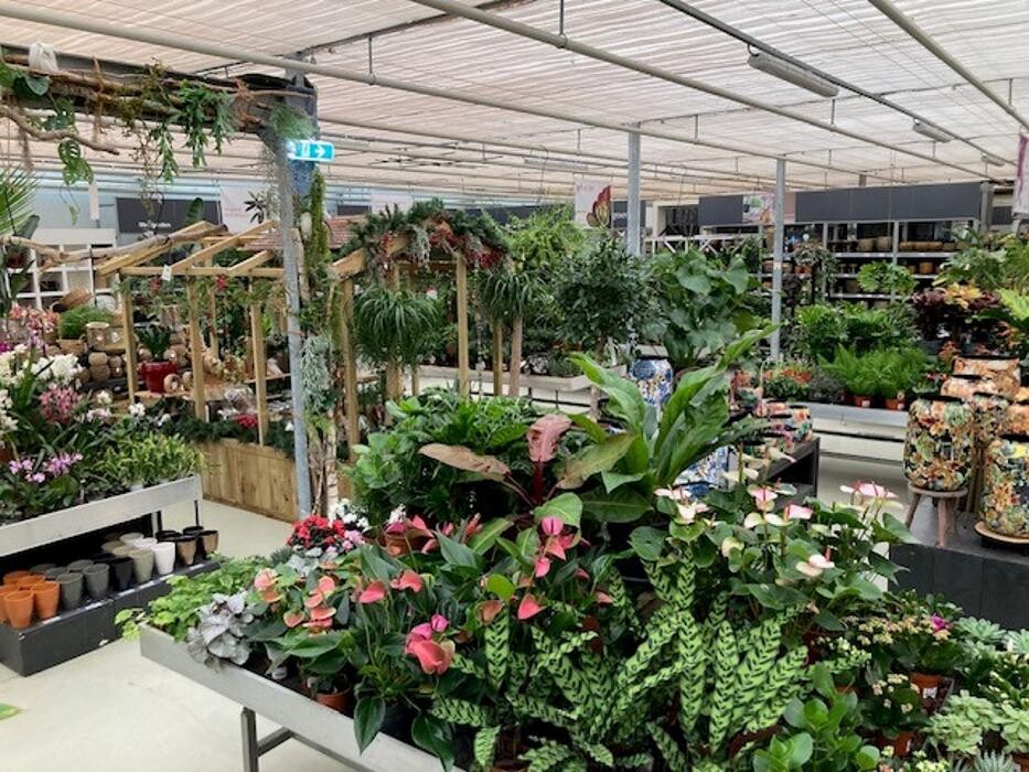 Foto's Life and Garden Renesse
