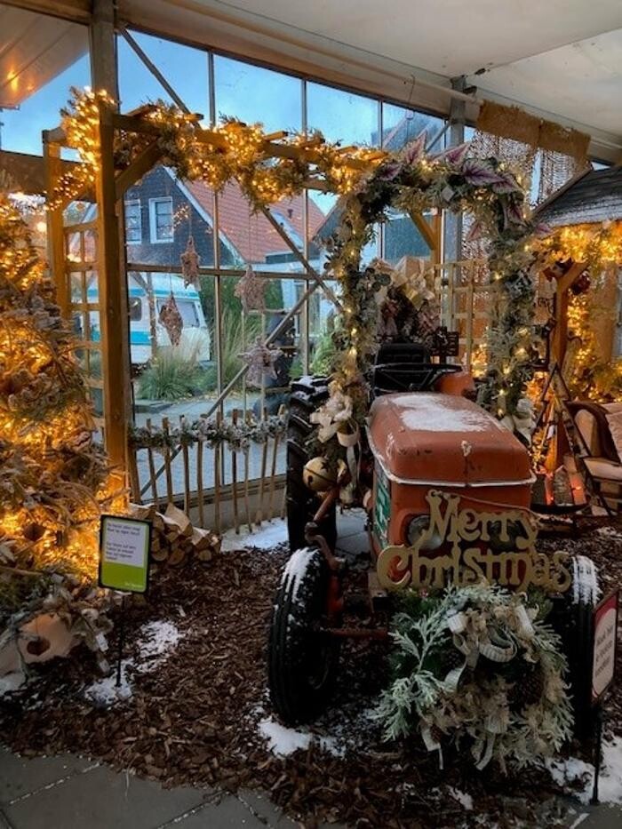 Foto's Life and Garden Renesse