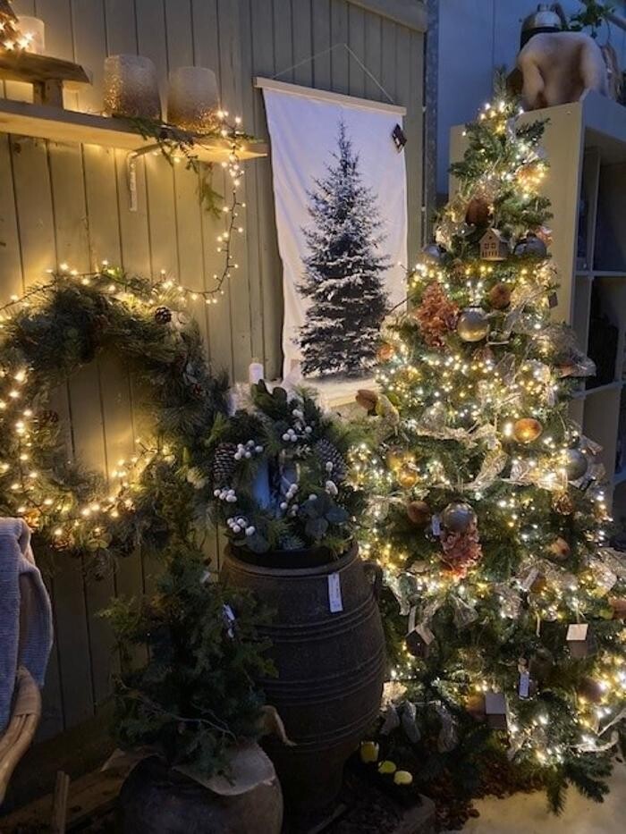 Foto's Life and Garden Renesse