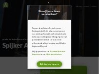 Website Screenshot Spijker Accountancy