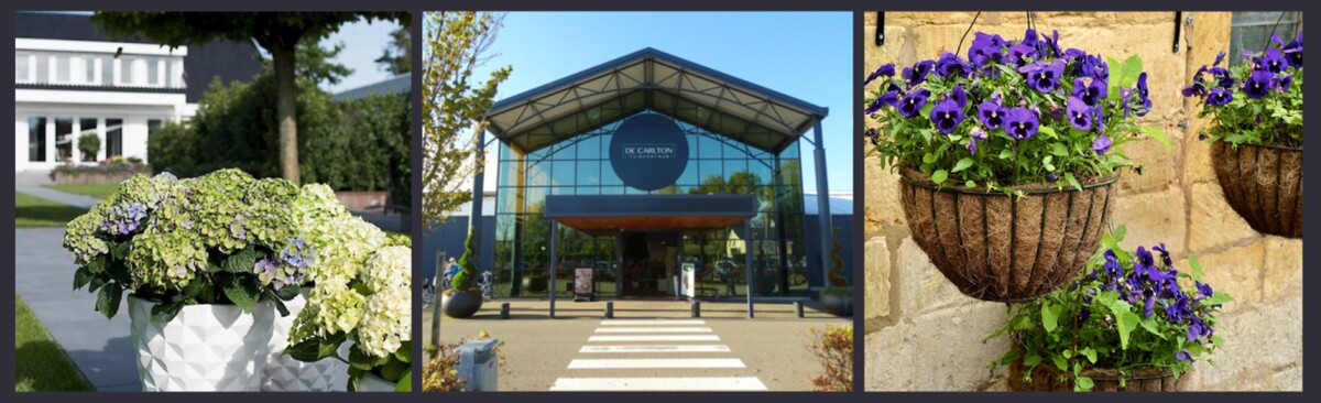Foto's De Carlton Tuincentrum