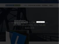 Website Screenshot Rijschool Diazoni