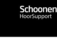 Website Screenshot Schoonenberg